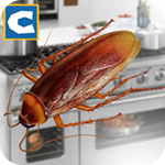 蟑螂模拟器破解版V1.1手机版