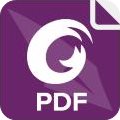 福昕高级PDF编辑器(Foxit PhantomPDF) v9.6.0企业