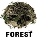 森林v1.0联机