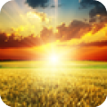 阳光高考appv1.3.0安卓版