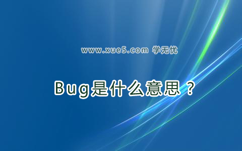 Bug是什么意思