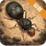 小小蚁国破解版v3.0.0安卓版