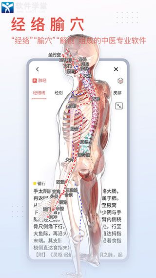3dbody解剖手机版