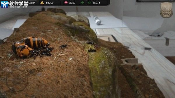 蚂蚁模拟大亨2024最新版
