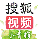 搜狐视频v9.9.10安卓版