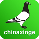 中国信鸽信息网官方版appv20231101安卓版