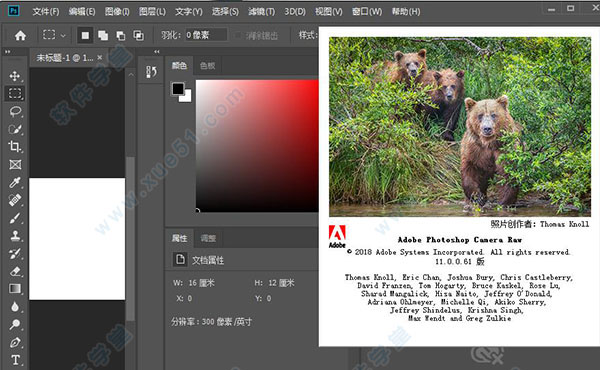 Adobe Camera Raw 11中文版