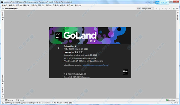 JetBrains GoLand 2019.1汉化包