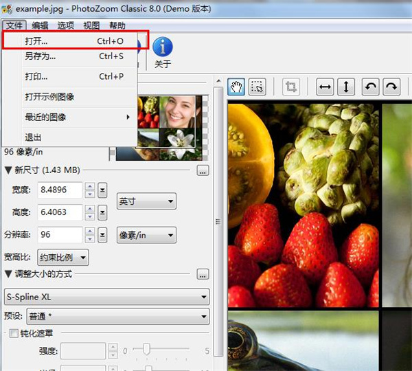 Benvista PhotoZoom Classic 8.0.4中文破解版
