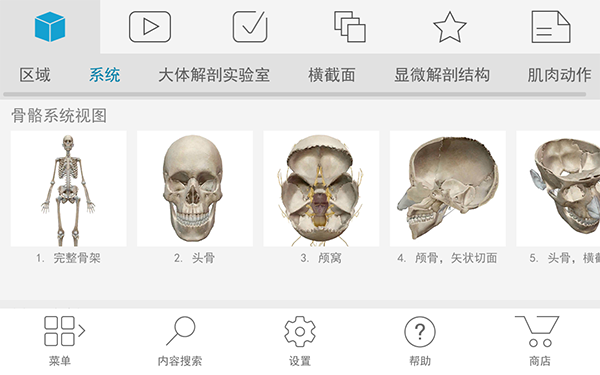 2020人体解剖学图谱app中文破解版