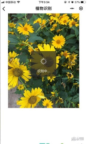 植物识别app安卓版