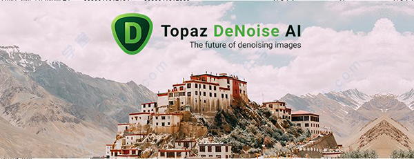 Topaz DeNoise AI v2.1.4破解版