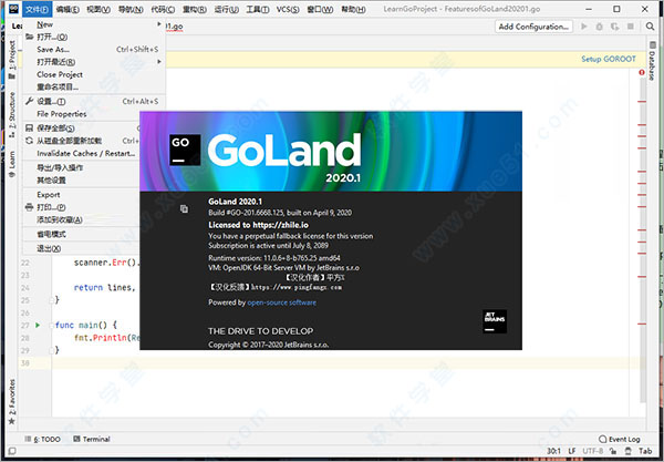Goland 2020.1汉化破解版
