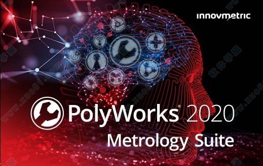 PolyWorks Metrology Suite2020中文破解版