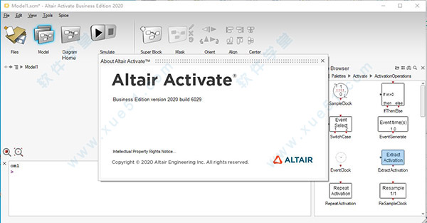 Altair Activate 2020破解版