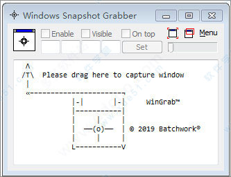 Windows Snapshot Grabber 2020破解版
