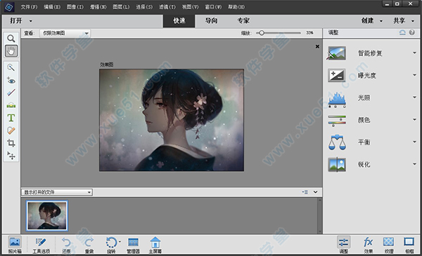 Adobe Photoshop Elements 2021中文破解版