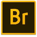 Adobe Bridge CC2014官方中文版