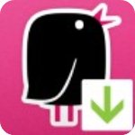 songbird免费版v2.20