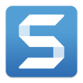 snagit 11 绿色版