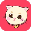 人猫交流器APP