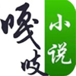 嘎吱小说app