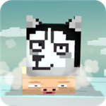 二哈下楼记正版