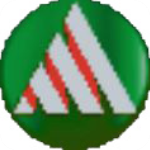 ansoft maxwell 12