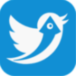 飞鸟下载器免登录版v2.4 PC