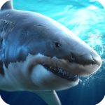 真实模拟鲨鱼捕食v1.0.3.0322官方版