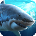 真实模拟鲨鱼捕食v1.0.3.0322无限金币破解版