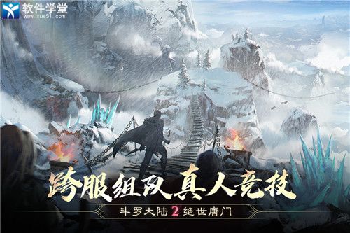 斗罗大陆2绝世唐门九游版