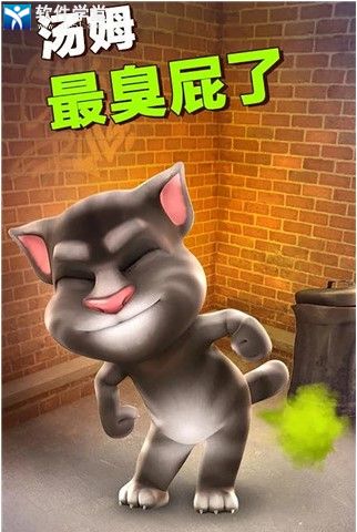 会说话的汤姆猫无限钻石版