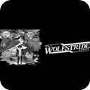 迅狼疾步中文v1.0