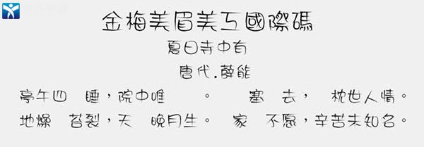 金梅美眉美工国际码字体