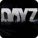 DayZ联机v1.0 附游戏攻略