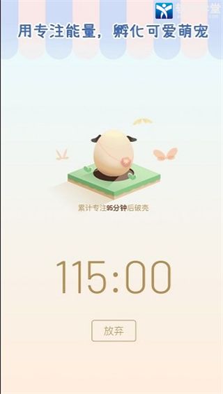 专注崽崽最新版