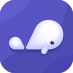 小京鱼最新版