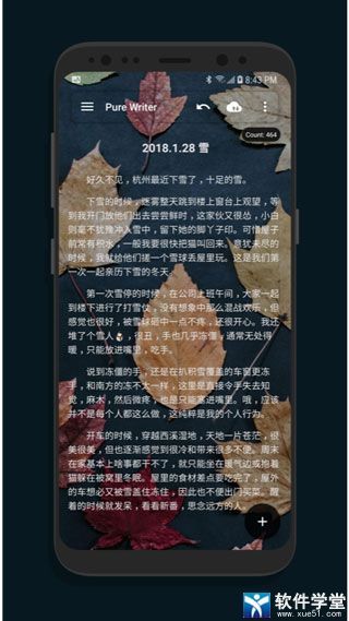 纯纯写作专业版