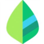 薄荷记账最新版v10.8.0安卓版