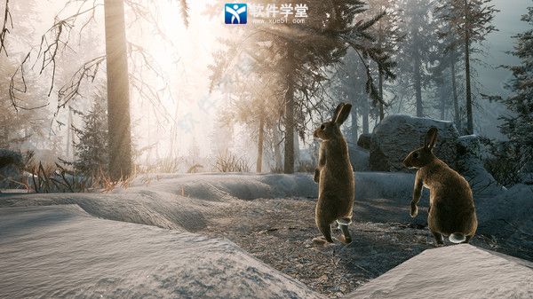 冬日幸存者配置要求