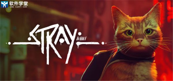 迷失stray修改器