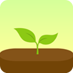 Forest专注森林app最新版