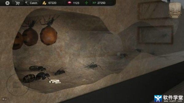 蚂蚁模拟大亨中文版