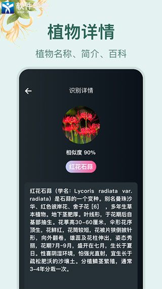 小园丁app官方版