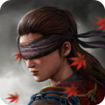 影子猎人的传说汉化版