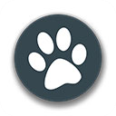 兽音译者翻译器最新版