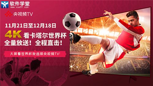 央视频TV版