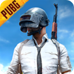 pubg测试服v2.5.1安卓版