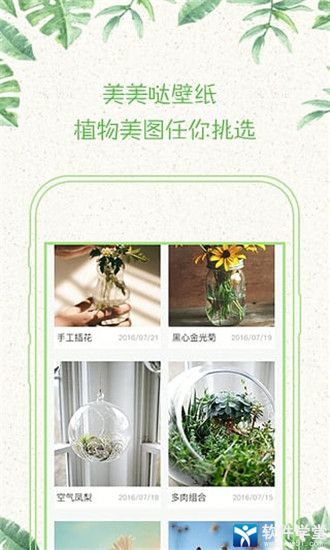 形色植物识别app官方版